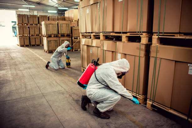 Best Emergency Pest Control  in Emory, TX