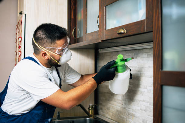 Best Best Pest Control Companies  in Emory, TX