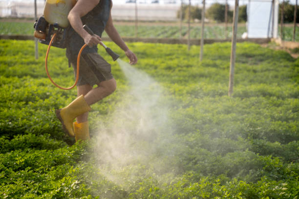 Professional Pest Control in Emory, TX