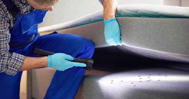 Best Pest Prevention Services  in Emory, TX