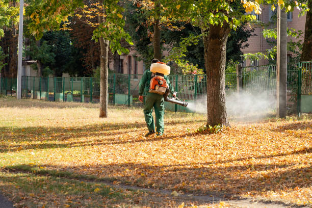 Best Flea Control Services  in Emory, TX