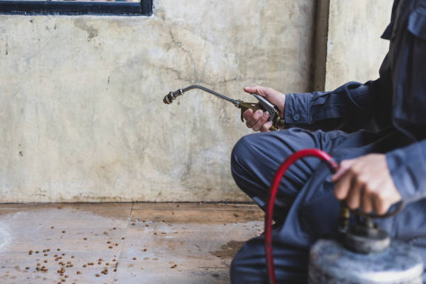 Wasp Removal Services in Emory, TX